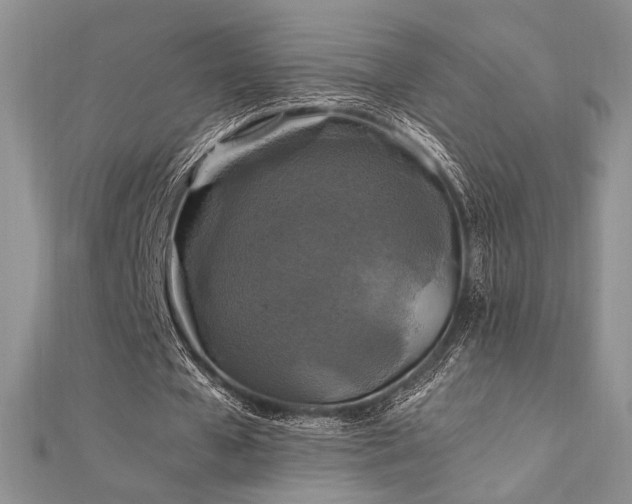 X0000112010577200908031309