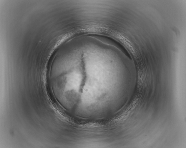 X0000112010578200908031309