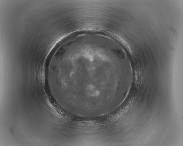 X0000112010580200908031308