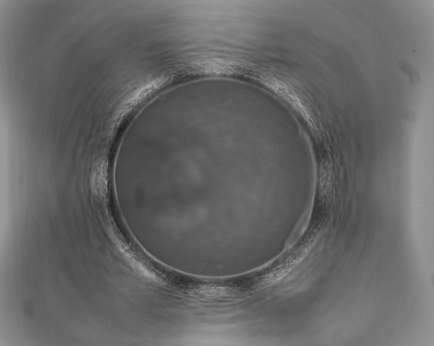 X0000112010581200908031308