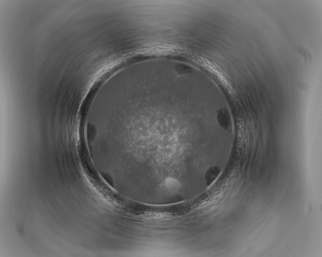 X0000112010582200908031308