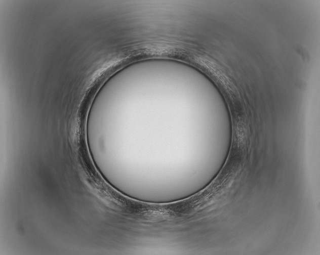 X0000112010583200908031308