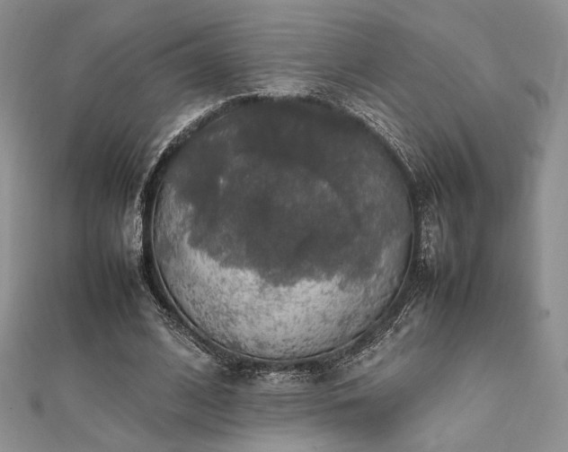 X0000112010584200908031308