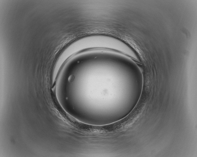 X0000112010585200908031308