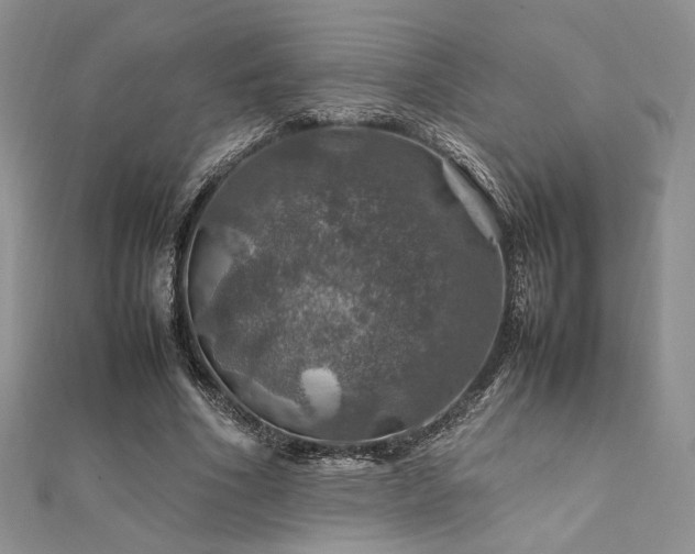 X0000112010586200908031308