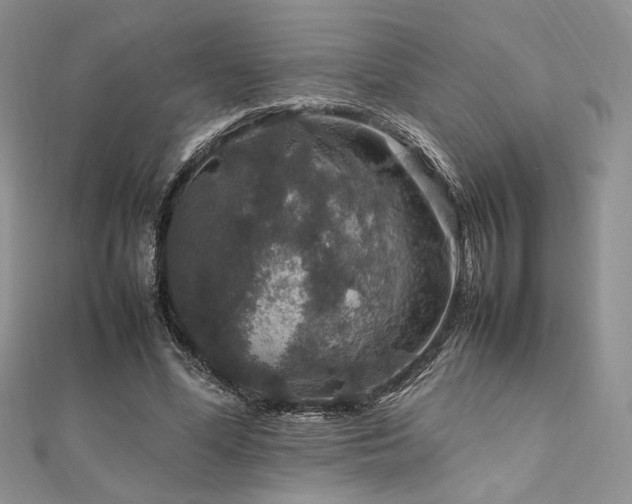 X0000112010588200908031308