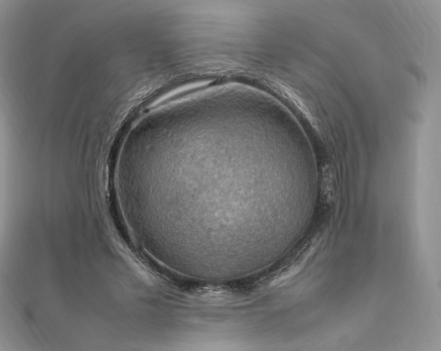 X0000112010589200908031308