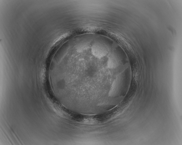 X0000112010591200908031308