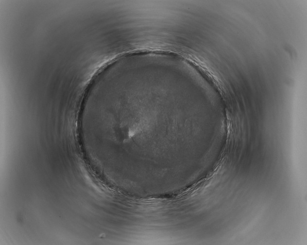 X0000112010592200908031308