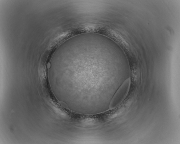 X0000112010593200908031308