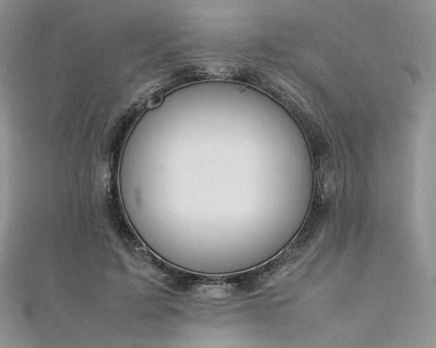 X0000112010595200908031308