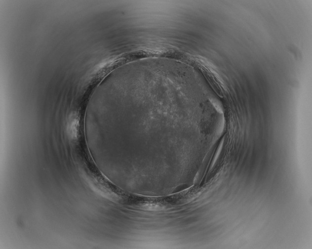 X0000112010596200908031308