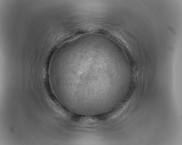 X0000112010597200908031308