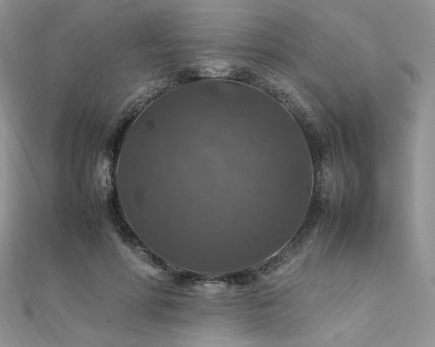 X0000112010598200908031308