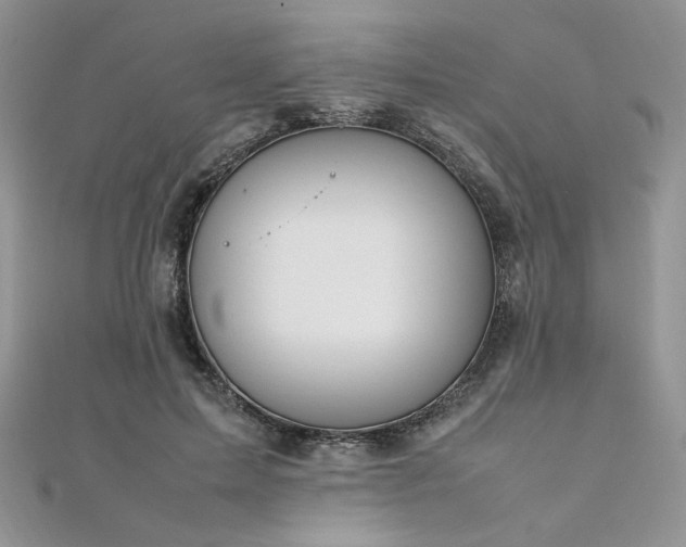 X0000112010599200908031308