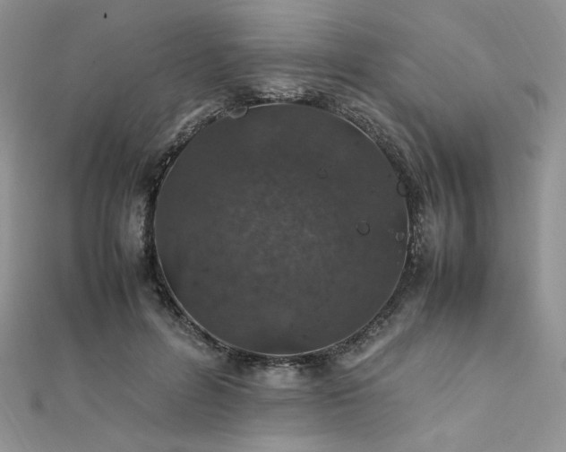 X0000112010600200908031308