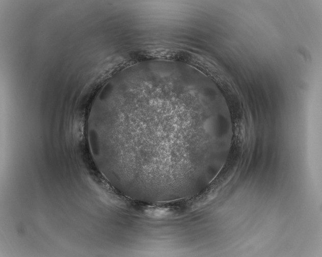 X0000112010602200908031308