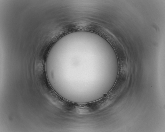 X0000112010603200908031308