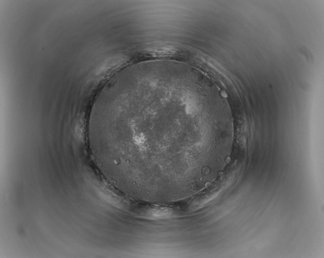 X0000112010604200908031308