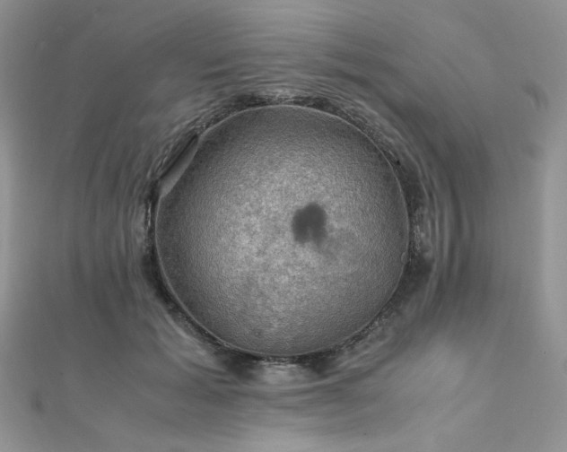 X0000112010605200908031308