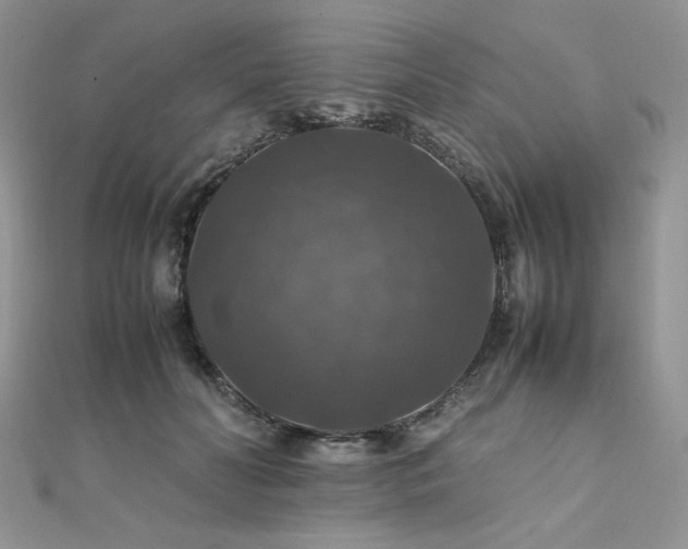 X0000112010606200908031308