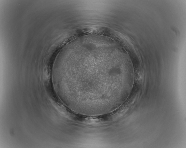 X0000112010607200908031308