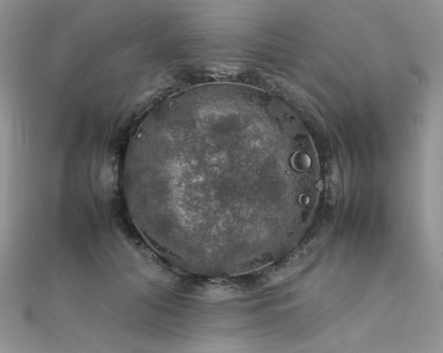 X0000112010608200908031308