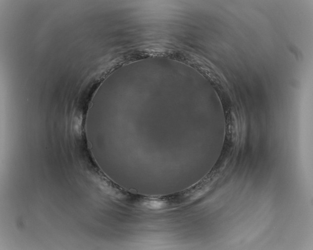 X0000112010610200908031308