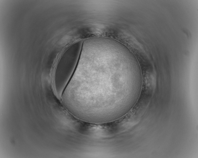 X0000112010611200908031308