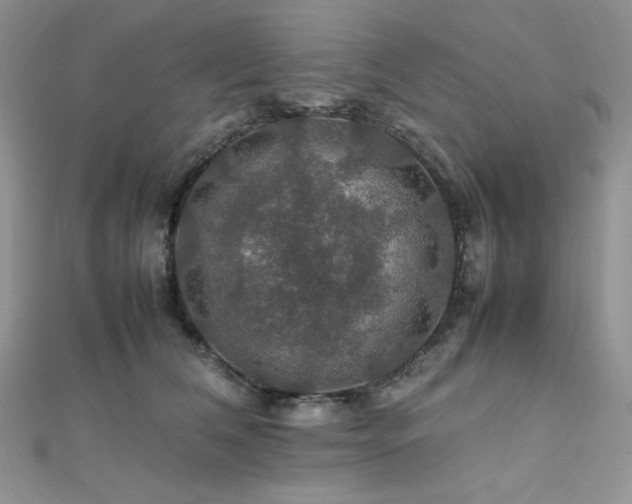 X0000112010612200908031308