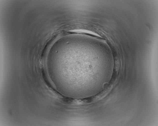 X0000112010613200908031308