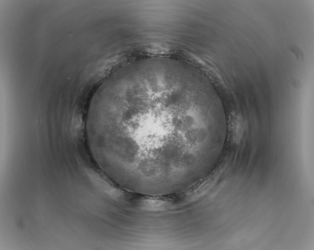 X0000112010614200908031308