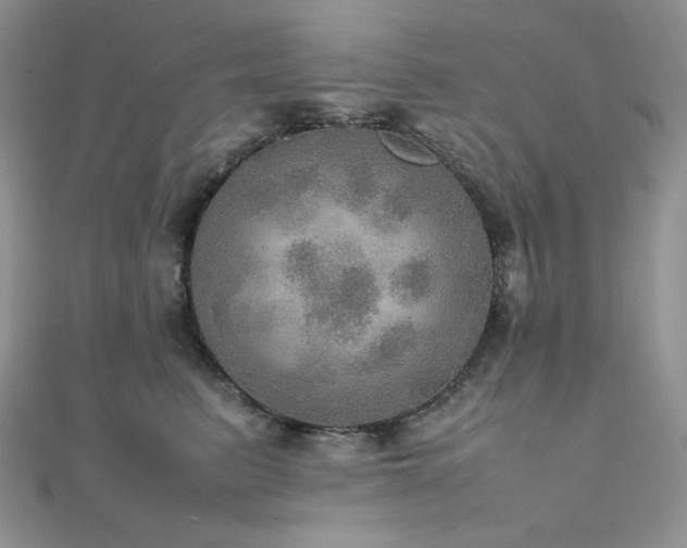 X0000112010615200908031308