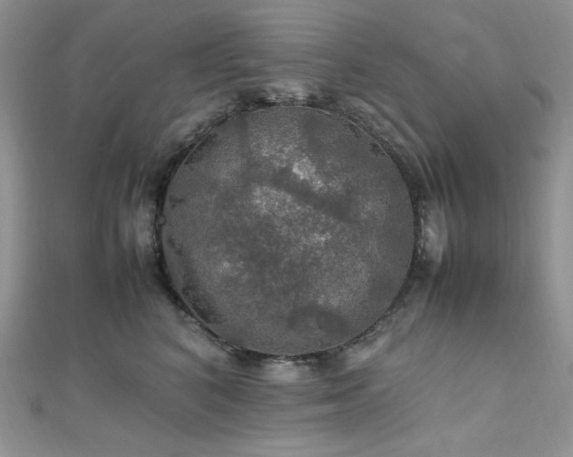 X0000112010616200908031308