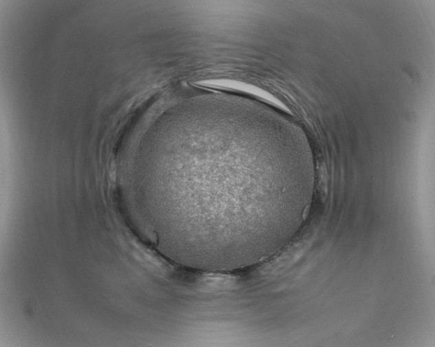 X0000112010617200908031308