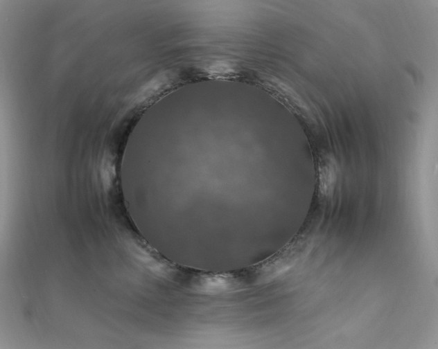 X0000112010618200908031308