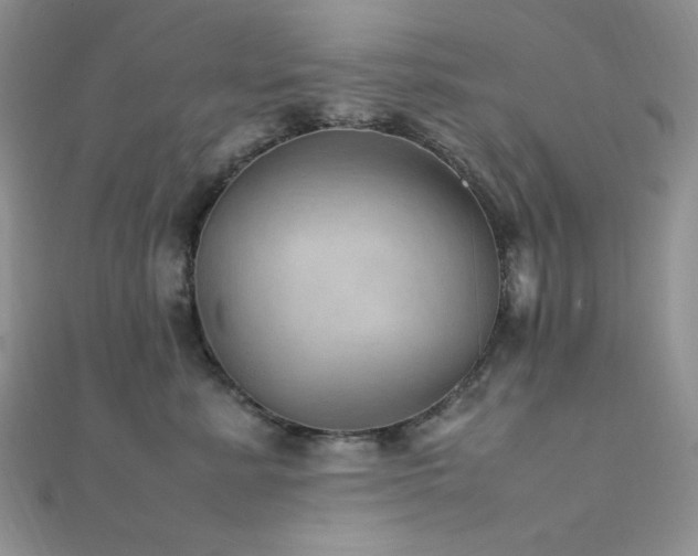 X0000112010619200908031308