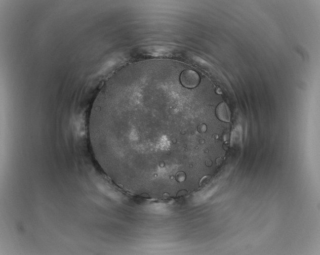 X0000112010620200908031308