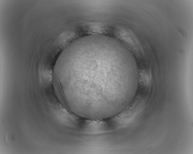 X0000112010621200908031308