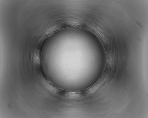 X0000112010622200908031308