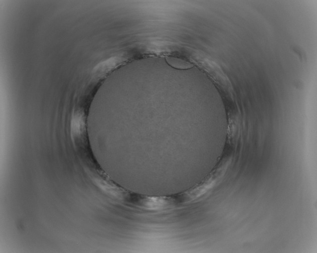 X0000112010623200908031308