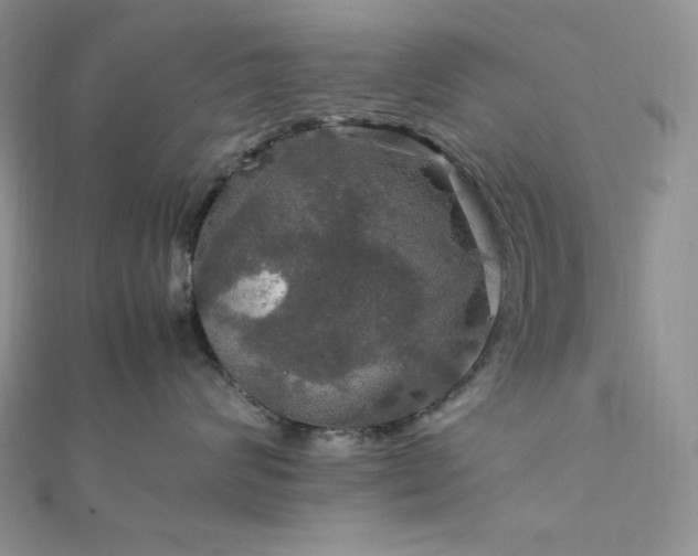 X0000112010624200908031308