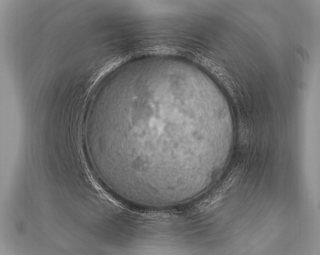 X0000112010625200908031307
