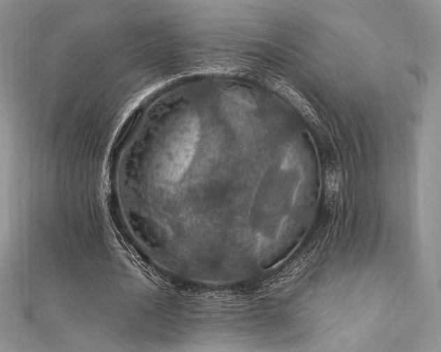 X0000112010628200908031307