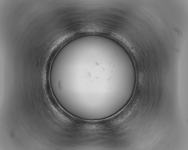 X0000112010629200908031307