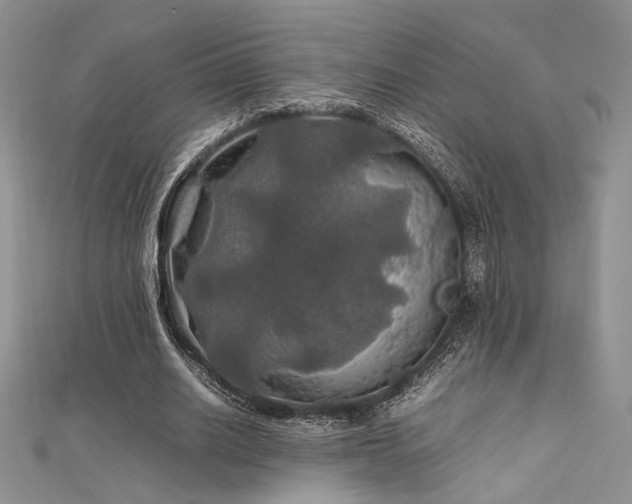X0000112010630200908031307