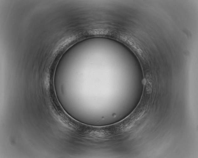 X0000112010631200908031307