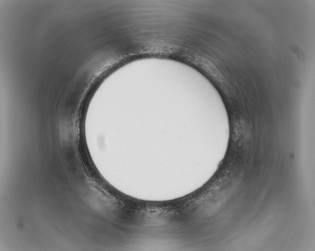 X0000112010632200908031307