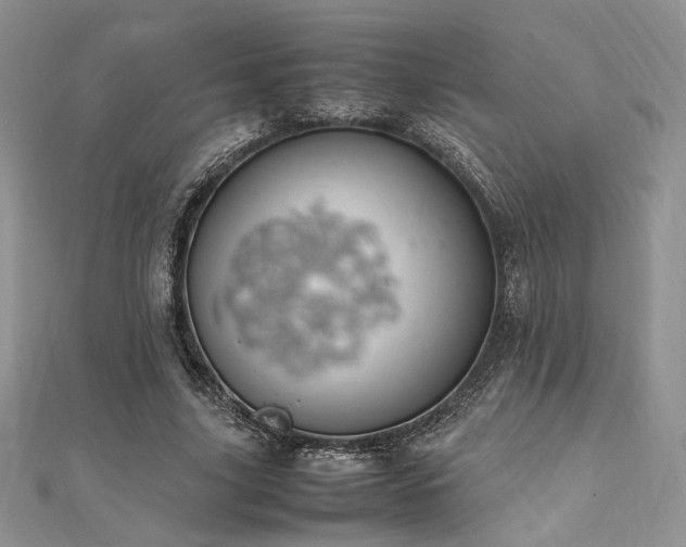 X0000112010635200908031307