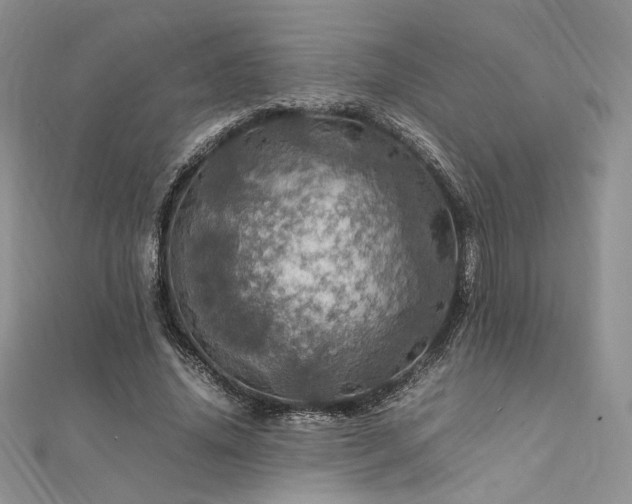X0000112010636200908031307